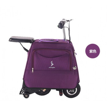 遇见幸福 电动自行车迷你折叠行李箱电动车男女式小型代步电瓶车 紫色