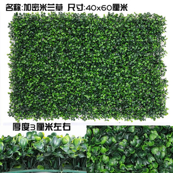 月芽居仿真植物墙草坪墙绿化绿植墙墙纸墙室内室外图片仿真假墙纸墙灰色颜色配什么背景墙面好看草坪图片