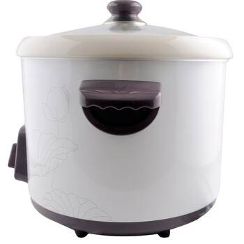 
                                        天际(TONZE)电炖锅3L 煮粥煲汤 旋钮易控DDG-W330N                 