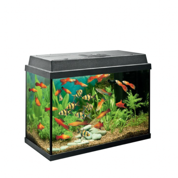 德国黑钻鱼缸juwel600型700型鱼缸白色黑色生态玻璃鱼缸水族箱长60cm
