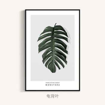 千秋颂绿影朦胧 客厅装饰画绿植沙发背景白墙现代简约