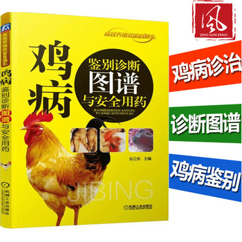 现货 鸡病鉴别诊断图谱与安全用药 养鸡技术书大全 鸡病诊治技术 科学