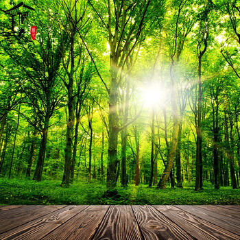 现代个性北欧3d立体风景 绿树绿色森林主题房 卧室客厅窗帘 b版树林 6