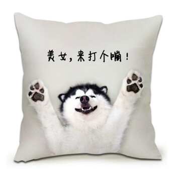 哈士奇抱枕3d柴犬搞怪狗头表情包单身狗二哈神烦狗单身狗汽车沙发抱枕