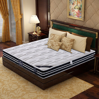 蕾舒床垫 棕垫3E椰梦维席梦思床垫定做 环保棕