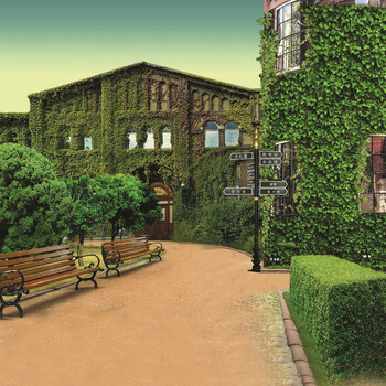 华胜婚纱摄影背景布 婚纱影楼背景布外景儿童