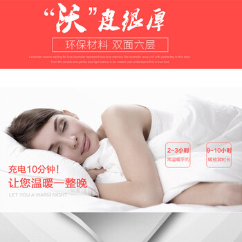 沃森狗狗系列国标水电分离  热水袋 防爆暖水袋  电暖宝 暖手宝  充电 可拆洗注水发货 新贵宾0602粉色