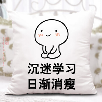 我爱学习抱枕沉迷学习表情包靠垫动漫搞笑装逼利器学生送礼品 一万年