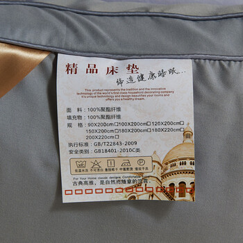 
                                        度艾妮家纺 羽丝绒床垫床褥子 加厚柔软舒适 单双人学生宿舍垫被 灰色-标准5cm 90*200cm                