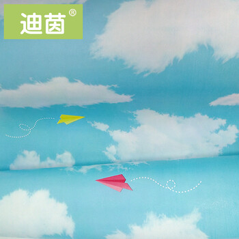 迪茵墙纸客厅壁纸自贴 餐厅墙纸直接贴宿舍墙