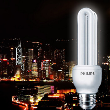 
                                        
                                        飞利浦（Philips）节能灯 标准型 E27大螺口 8W 白光 4支装                