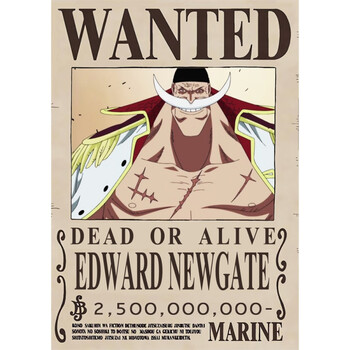 海贼王通缉令