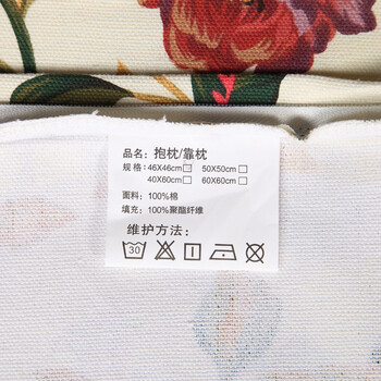 
                                        
                                                            艾薇抱枕 全棉粗布沙发靠垫办公室午睡枕汽车腰靠枕套+枕芯 花季2个                