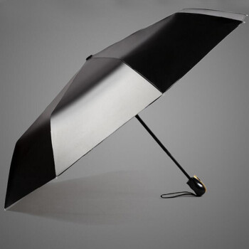 
                                        菲亚莉 雨伞 女 双层黑胶油画伞 晴雨两用Umbrella 蓝色                