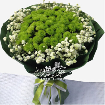 挚爱此生 同城小雏菊鲜花速递青岛长沙深圳南