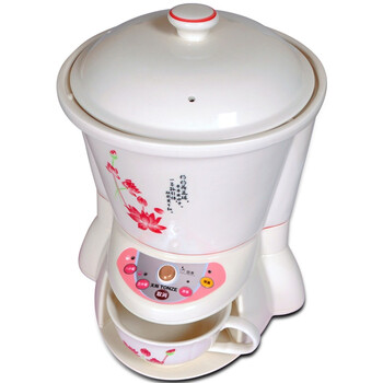天际（TONZE）养生壶煎药壶3L/3升BJH-400BP