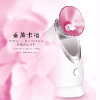 金稻（K-SKIN）美容器 蒸脸器 热喷 纳米离子 深层保湿补水仪 喷雾补水仪 面膜搭档 蒸脸仪 KD-2331A