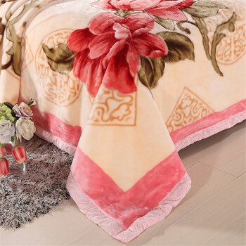 
                                        皛胜家纺 床上用品 双层双人拉舍尔压花毛毯毯子盖毯 大喜 150*200cm/四斤                