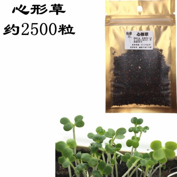 草籽草种子上水石吸水石山石盆景植物圆叶草三叶草混装微景观 心形草