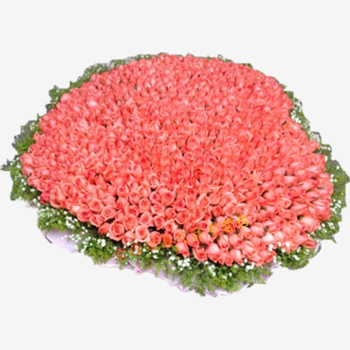 上海奉贤区崇明县虹口区杭州西湖区滨江区拱墅