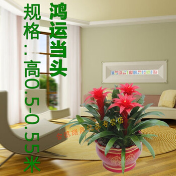 天津市汉沽区大港区东丽区西青区津南区北辰区