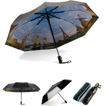
                                        菲亚莉 雨伞 女 双层黑胶油画伞 晴雨两用Umbrella 蓝色                