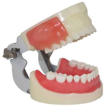 海医(HEY MODEL)口腔执业考脓肿切开和牙体