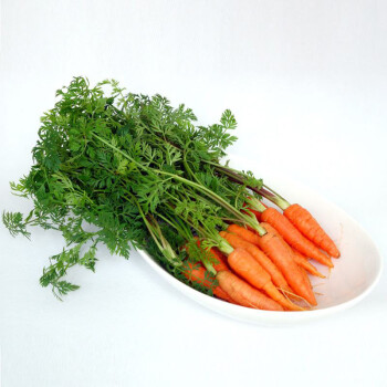 顺丰新鲜手指胡萝卜带叶迷你小萝卜现挖新鲜蔬菜2斤