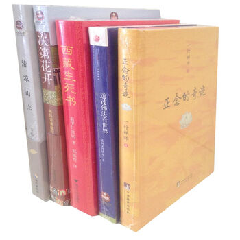 山上+次第花开+透过佛法看世界+西藏生死书 套