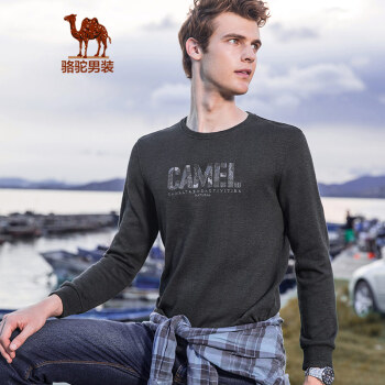 骆驼（CAMEL）男装 春季青年时尚圆领长袖上衣服纯色字母绣花T恤男 深灰 XL