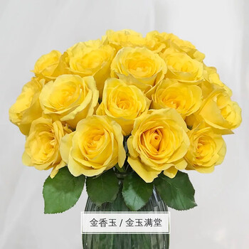 20支云南昆明基地直发玫瑰花家用插鲜切花一扎鲜花 金香玉/金玉满堂
