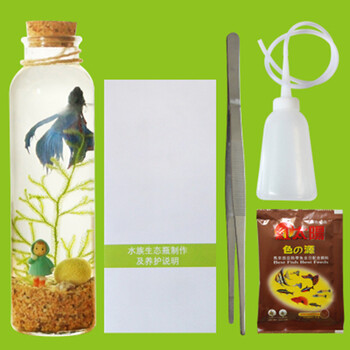 白领公社 迷你鱼缸 观赏鱼缸生态瓶小鱼缸造景
