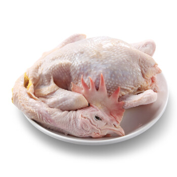 【冷鲜肉】湘佳 新鲜老母鸡 1.2kg/袋整只装 散养