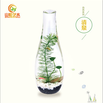 艺水空间 生态瓶缸 清泉 懒人鱼缸水生态景观