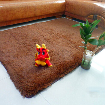 
                                        易极宝 丝毛地毯防滑可机洗柔丝毛可爱满铺客厅茶几垫卧室书房床前地毯 咖啡色 80*160厘米                