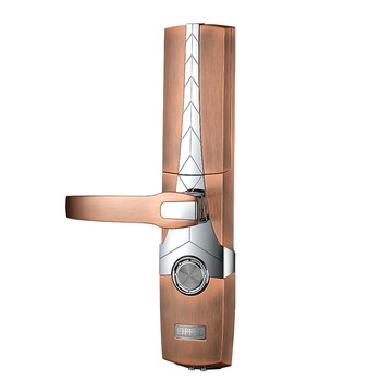 艾菲尔(EIFFELTECH)指纹锁 智能门锁 真皮层