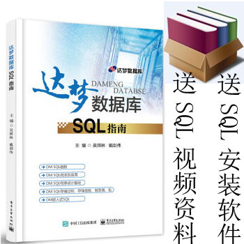 达梦数据库sql指南 达梦数据库管理系统dm7.1 dm sql程序设计 函数