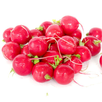 【多利农庄樱桃萝卜250g】多利农庄 TONY'S 