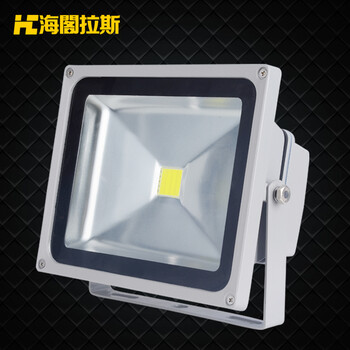 海阁拉斯投光灯景观灯具庭院户外LED投射泛光灯具 30wRGB 220v
