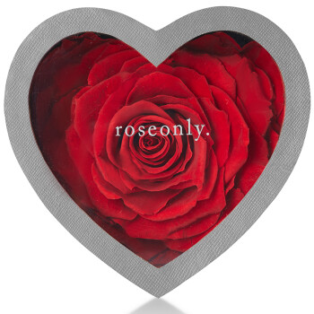 经典心形盛开永生花】诺誓(roseonly)经典心形盛开永生花 嫣红玫瑰花