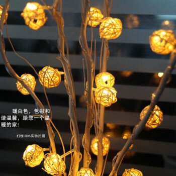 
                                        泰莲庭（Lotus Tai） LED网灯彩灯闪灯串灯渔网灯圣诞灯串装饰窗帘灯网状彩灯 1.5*1.5米 彩色96灯尾接                