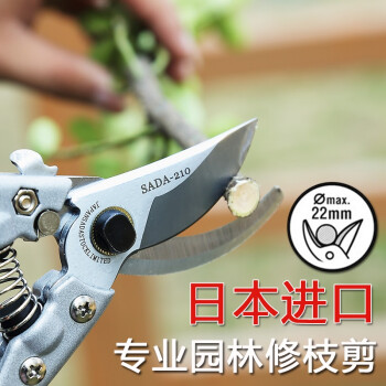 逍遥园艺日本进口修枝剪 园艺工具绿植修剪花枝剪刀 果树剪枝-网 图片