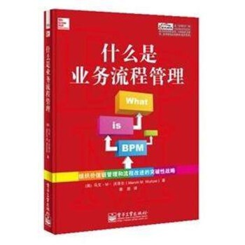 《6a正版现货 什么是业务流程管理 流程管理指