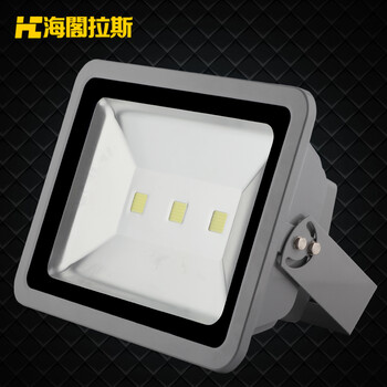 海阁拉斯投光灯景观灯具庭院户外LED投射泛光灯具 30wRGB 220v