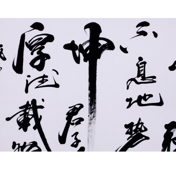 
                                        浩铭 天行健 字画书法 手写真迹 名人名家书法作品 办公室/客厅/书房 书画装饰画                