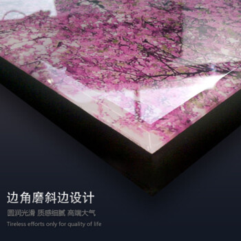 
                                        欧喆客厅装饰画壁画客厅现代无框画墙画冰晶画水晶画挂画玄关餐厅画一套价 浪漫之花 JD-91 冰晶画40*40                