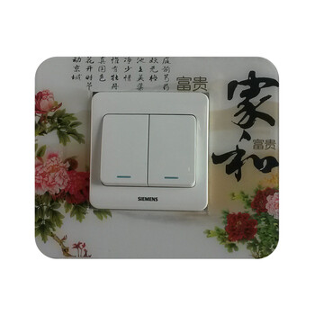 
                                        一品尚居 开关贴 亚克力开关贴 塑料开关贴 田园 韩式 开关套 开关保护 装饰品 千里共婵娟                