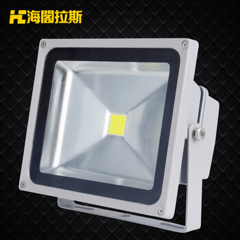 海阁拉斯投光灯景观灯具庭院户外LED投射泛光灯具 30wRGB 220v