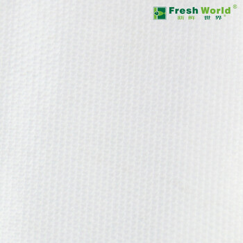 
                                        新鲜世界（Fresh World） 食品保鲜袋 干果包装袋 纹路真空机专用袋 多种规格 22cm*30cm100个装                