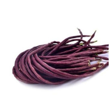 千姿秀 蔬菜种子 紫秋豇六号红豆角种子 红豇豆